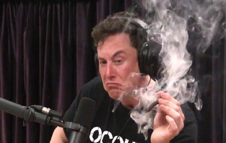 Elon Musk smokes a live joint during an interview