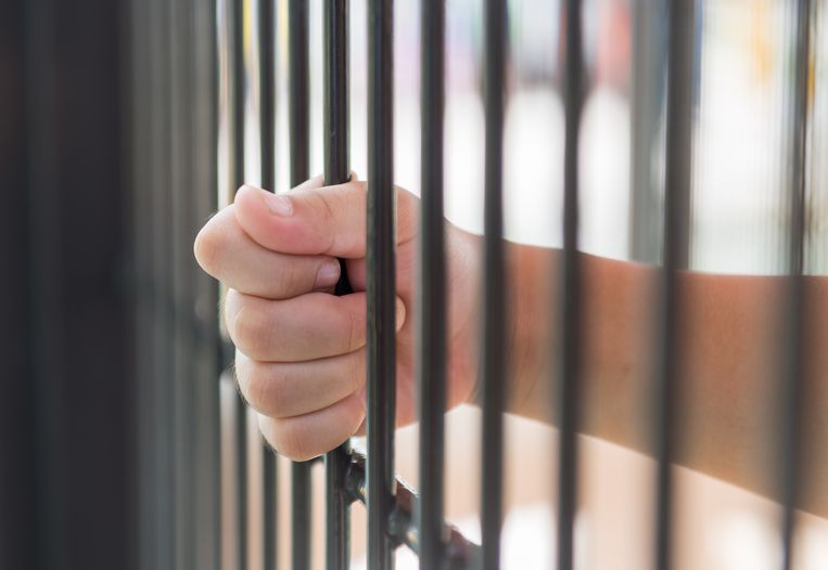 Mother in jail accused of horrific abuse: “She cooked puppies and let children watch”