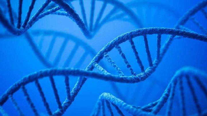 kenya dna test