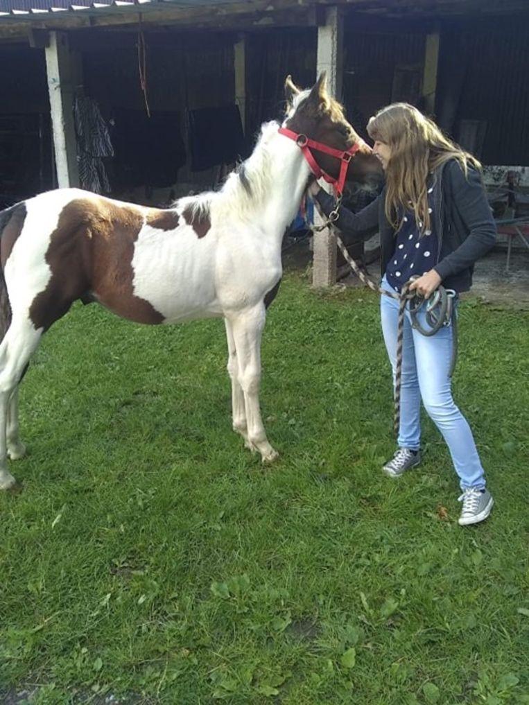 Bizarre: Yentl (23) sees her own foal for sale for 1,000 euros 