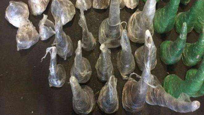 A record amount of rhino horns intercepts million dollars 