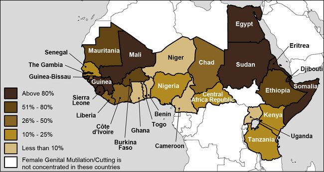 Africa: why do female genital mutilation persist? 