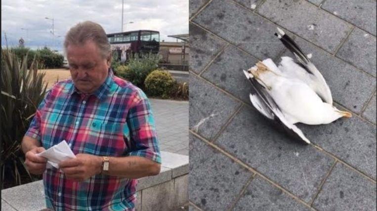 ban on going out for sixties who killed the seagull for pecked fries