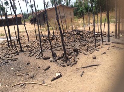 Many missing as herdsmen strike, burn down villages in Benue