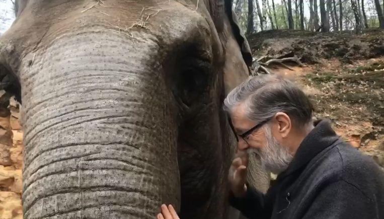 An elephant never forgets, even after 32 years: Kirsty immediately recognizes former caregiver by voice