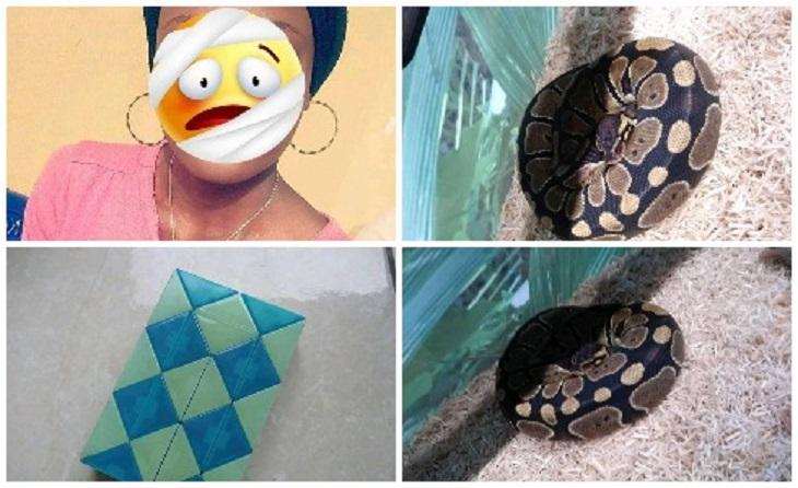 Ex sends live snake as gift to newly wedded couple