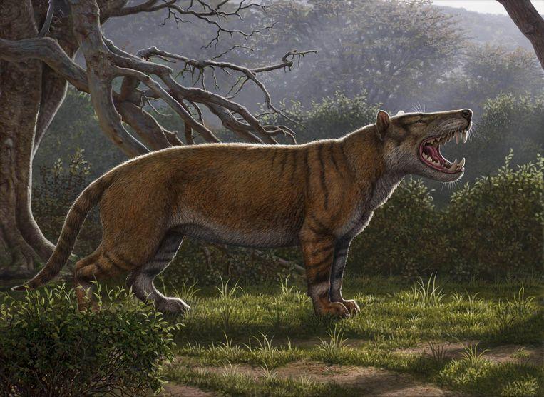 Scientists are discovering one of the largest carnivorous mammals ever