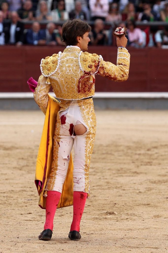 Bull rigs French matador on his horn in a very painful way, but he continues