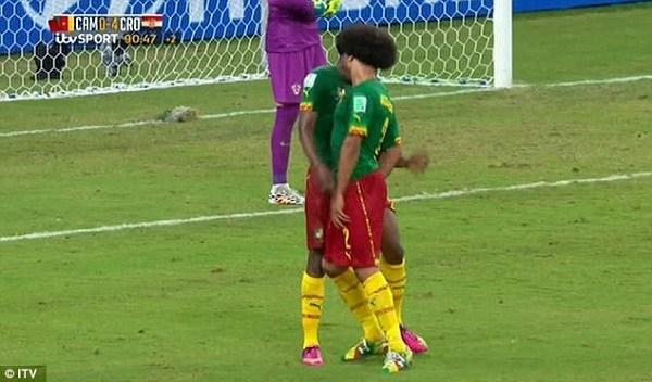 Cameroon players refuse to take a plane to  Africa Cup: “For every tournament, there is a problem”