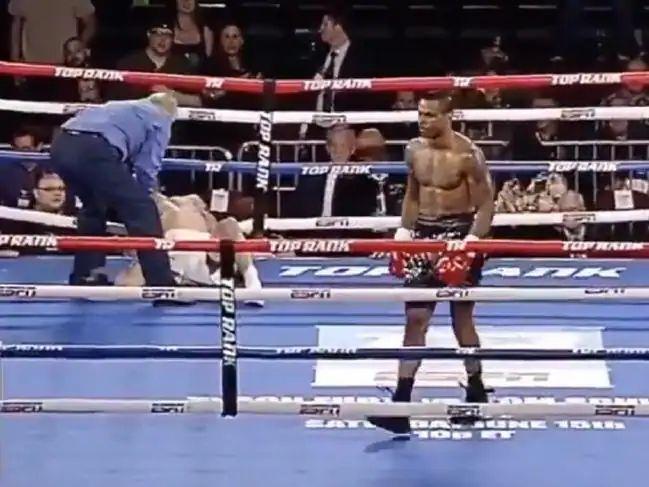  A brutal knockout: “Like being shot by a bazooka”