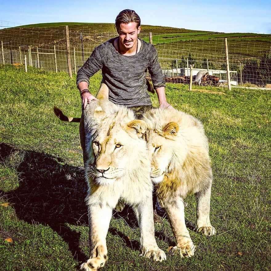 Dean Schneider drops his prestigious job for animals in Africa