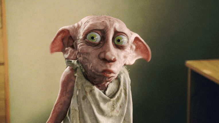 Dobby on security camera: “Child on slippers with underpants on the head” 