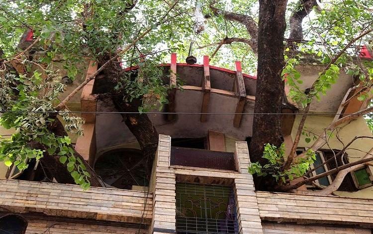 Home constructed around two trees in India [photos]