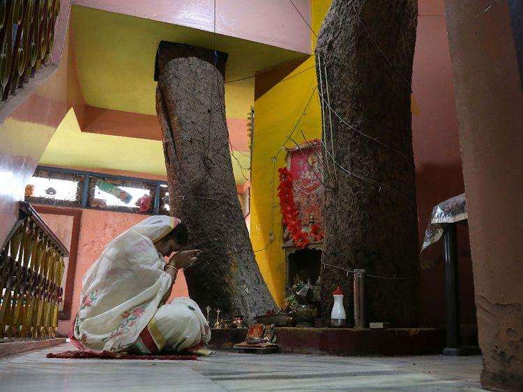 Home constructed around two trees in India [photos]