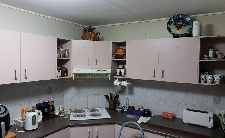 Python hides in the kitchen of an older couple: do you see it?