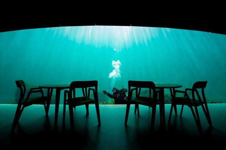 Look inside the largest underwater restaurant in the world