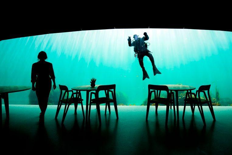 Look inside the largest underwater restaurant in the world