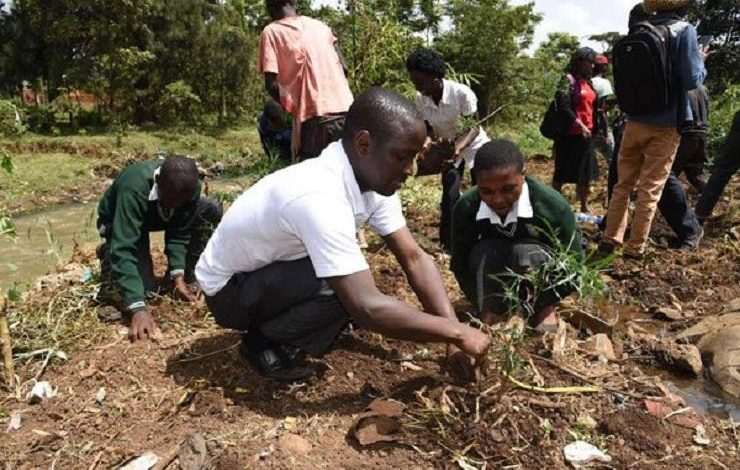 Ethiopia wants to plant 200 million trees in one day