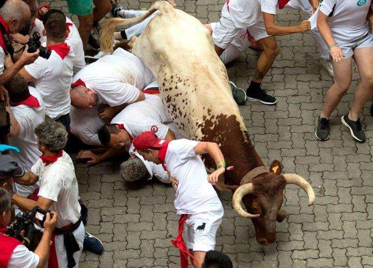 First day of Pamplona bull racing: 5 injured, 1 participant impaled [Photos]