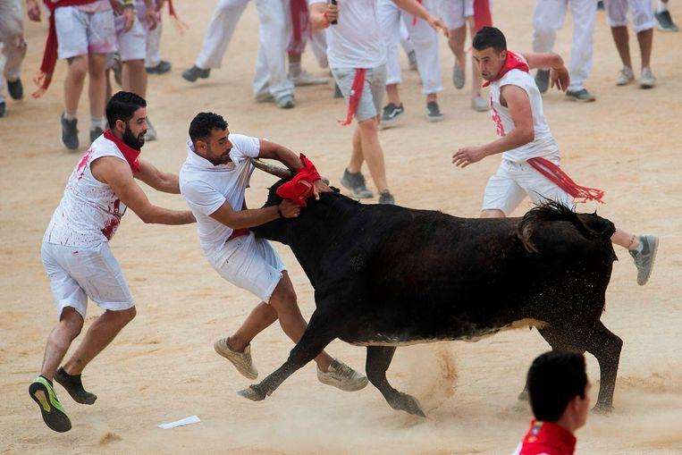 First day of Pamplona bull racing: 5 injured, 1 participant impaled [Photos]