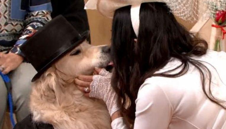 British model marries her dog after 4 engagements and 200 failed dates