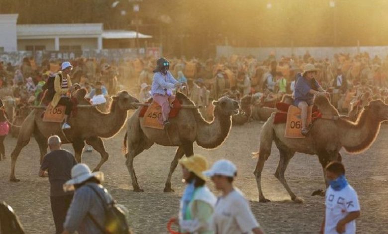 Traffic jams in the desert for ‘romantic camel ride’