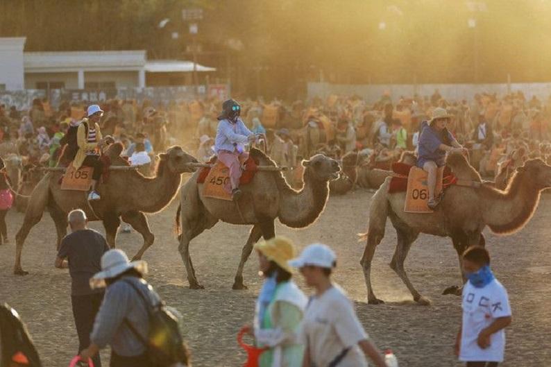 Traffic jams in the desert for ‘romantic camel ride’