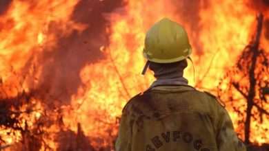 Columbia asks for international help in fighting forest fires