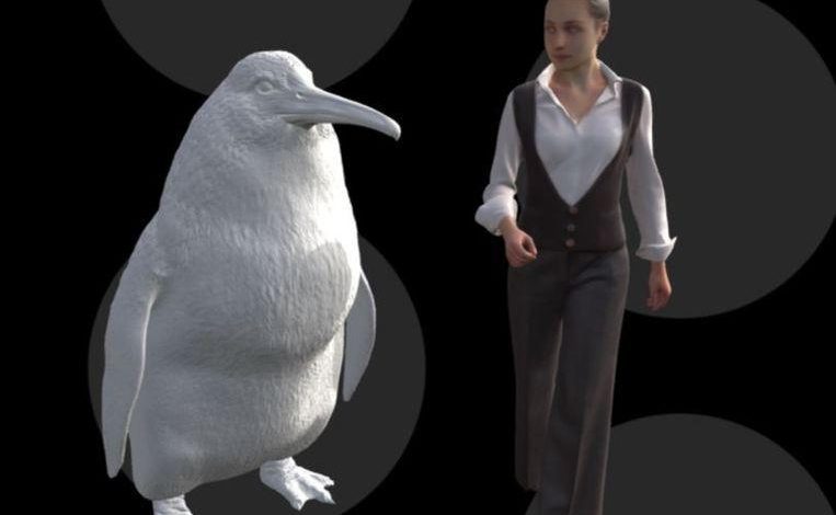 Giant penguin “as big as human” found in New Zealand