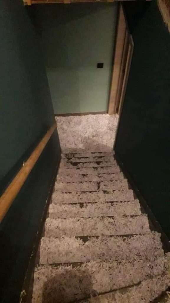 Couple return from their wedding, their home full of shredded paper