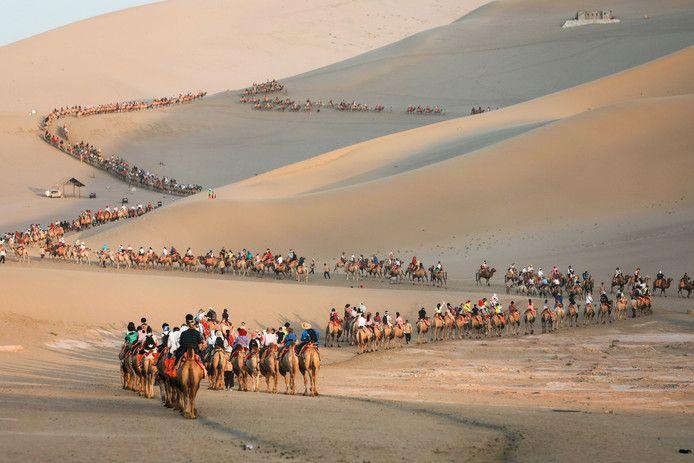 Traffic jams in the desert for romantic camel ride