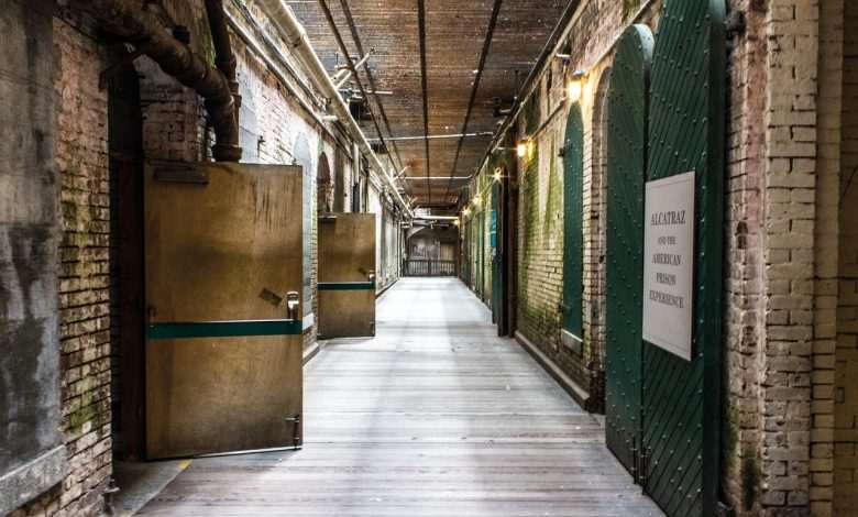Burglar freely leaves DNA behind, wants to go back to prison to watch Canal+ in cell