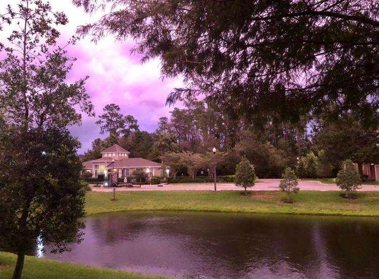 Hurricane Dorian’s passage through Florida: why Sky became purple