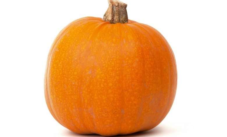 Attention to Halloween: some pumpkins are poisonous