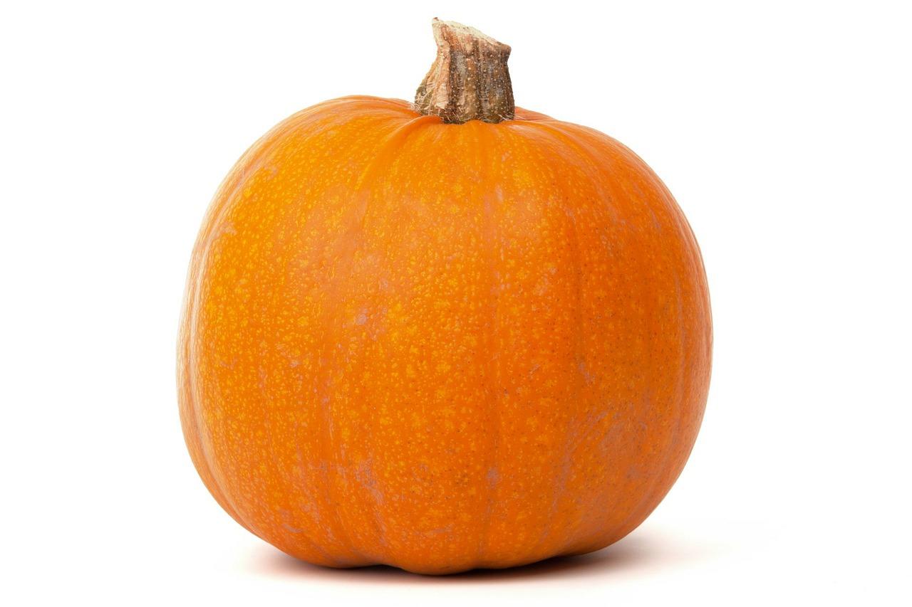 Attention to Halloween: some pumpkins are poisonous