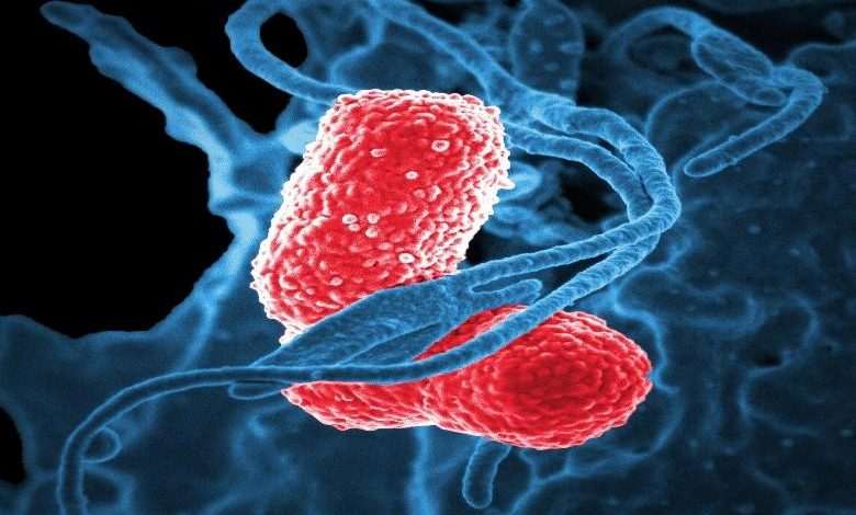 Two new cases of pneumonia cause panic in China