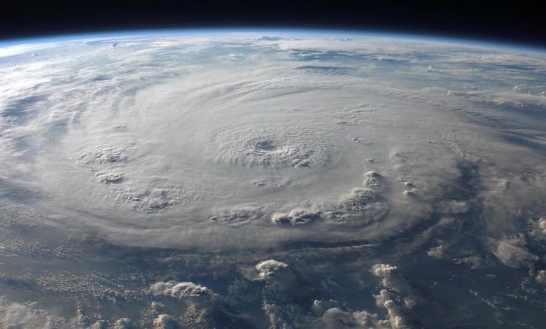 More than 11,000 scientists exclaim “climate emergency”: “Humanity must take action”