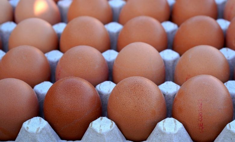 Indian man of age 42 dies after eating 42 eggs