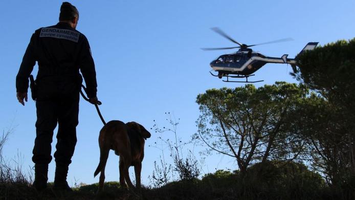 A two-day search does not produce anything, the tracking dog finds the man alive after 45 minutes