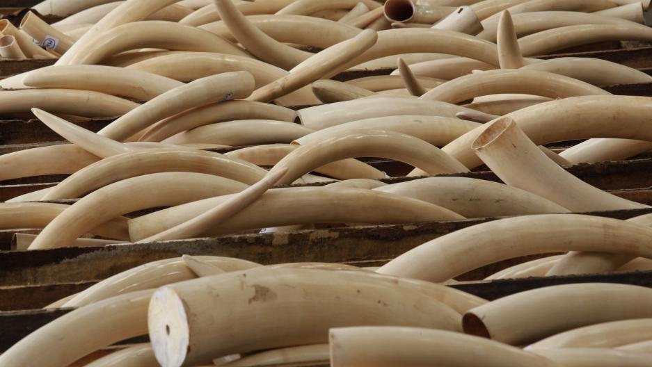 Two tons of ivory and scales from Nigeria seized in Vietnam