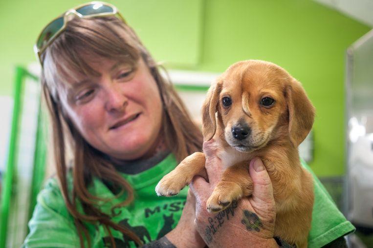 Cute puppy with ‘tail’ on forehead finds a warm home