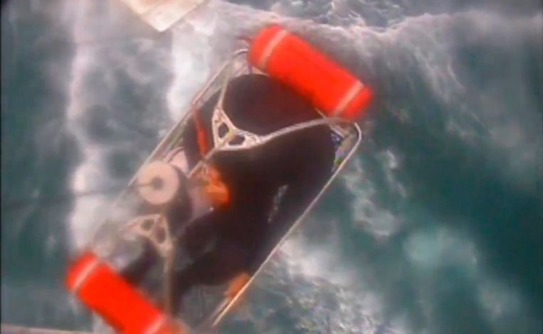 Surfer is caught in California by a white shark but survives
