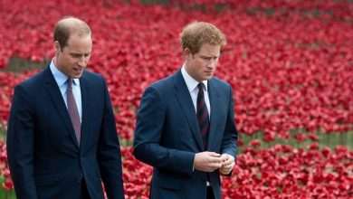 Prince William speaks for the first time after ‘megxit’: “I’m sad”
