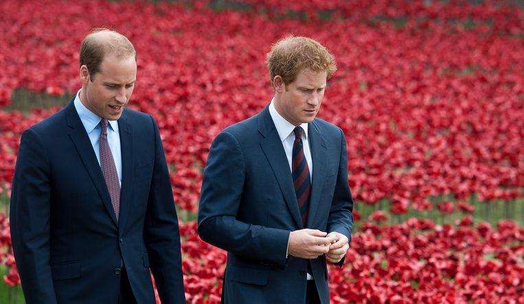Prince William speaks for the first time after ‘megxit’: “I’m sad”