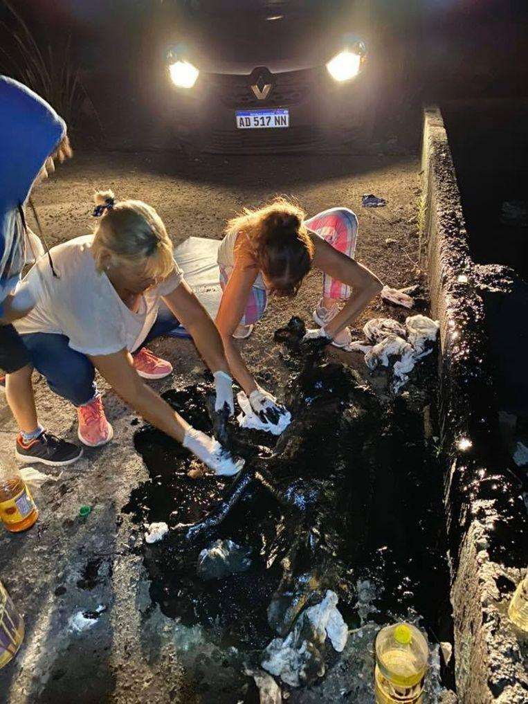 Gruesome: Animal lovers save dog completely covered with tar