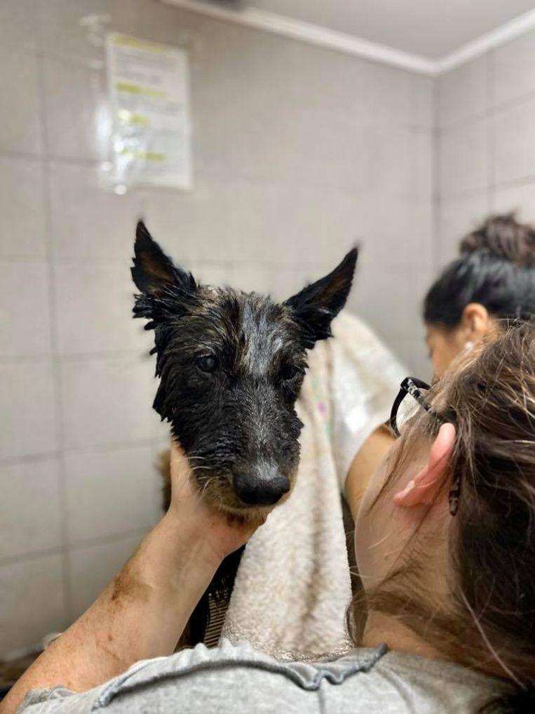 Wash and wash again…