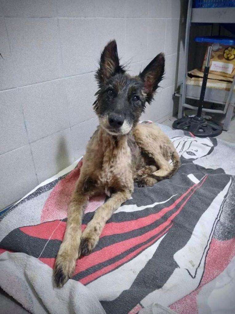 And then Aloe was finally as good as complete from that mess.