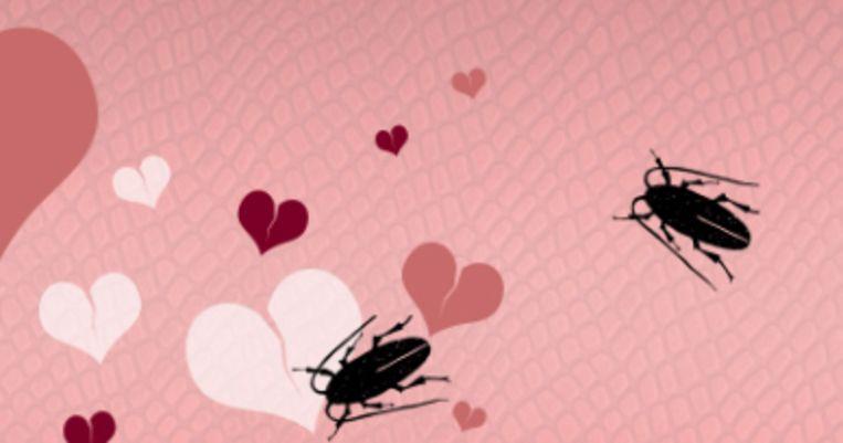Name a cockroach or rat after your ex on Valentine’s Day