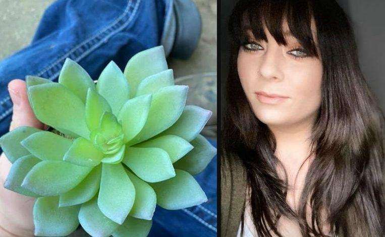 After 2 years of watering, she realizes that her succulent plant is plastic