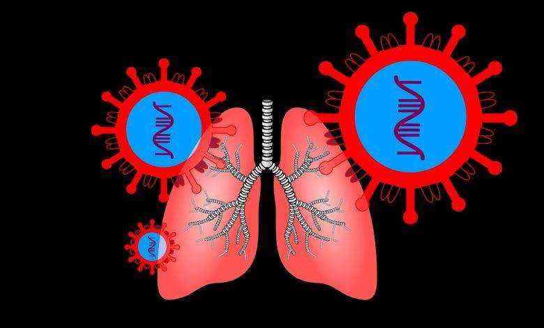 More than 53,396 corona patients recovered
